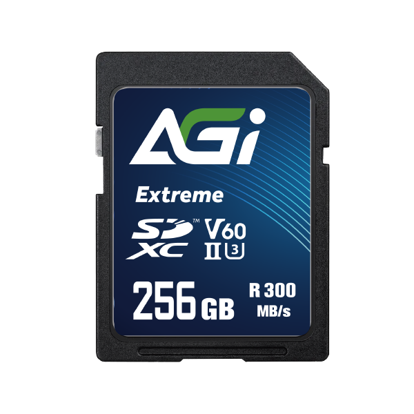 Extreme SE238 V60 SDXC記憶卡